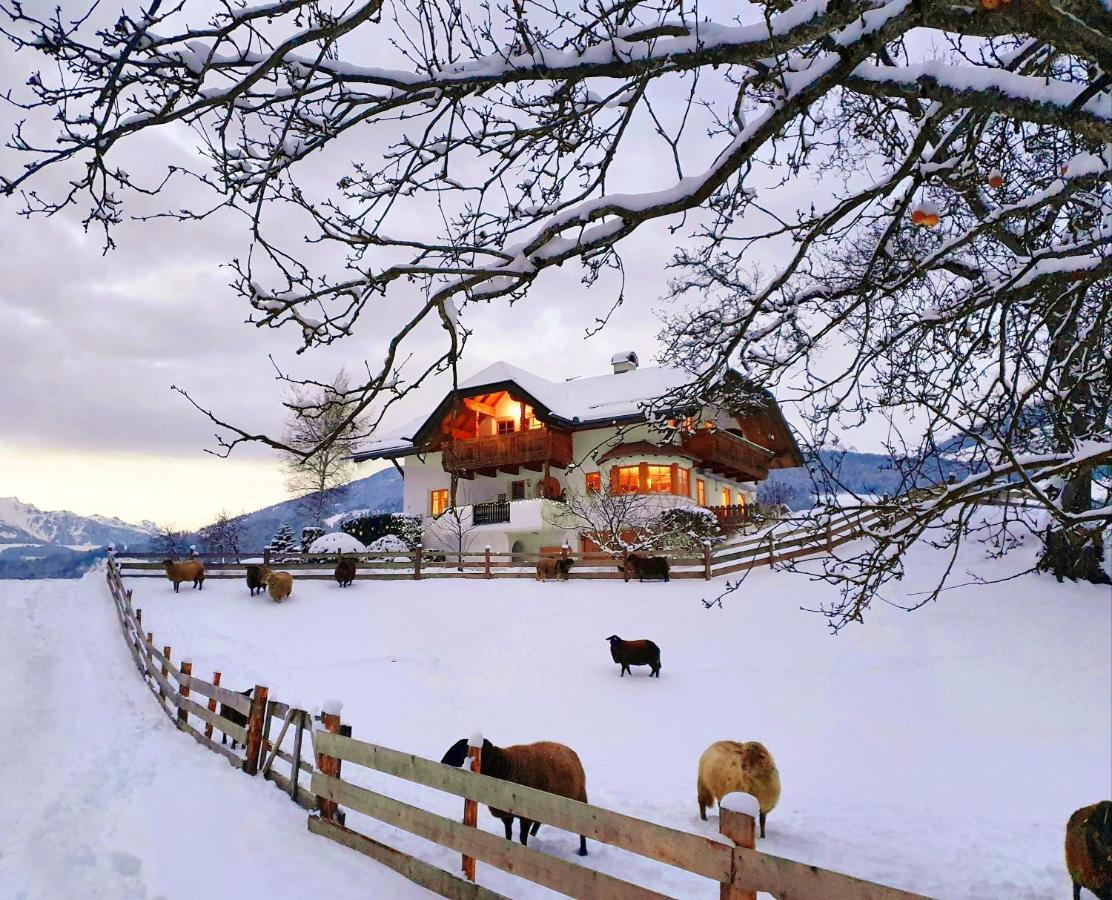 Oberplunerhof - Fewo Kronplatz キエーネス エクステリア 写真